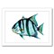 Striped Fish by T.J. Heiser Frame  - Americanflat